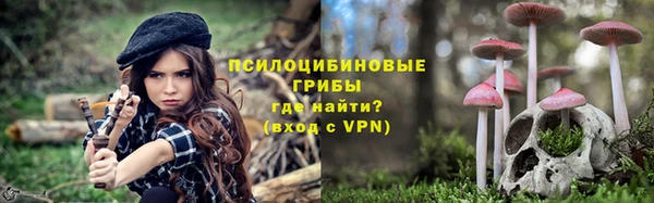 метадон Алексин