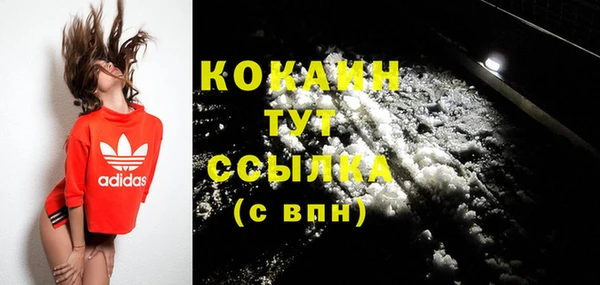 стаф Абаза
