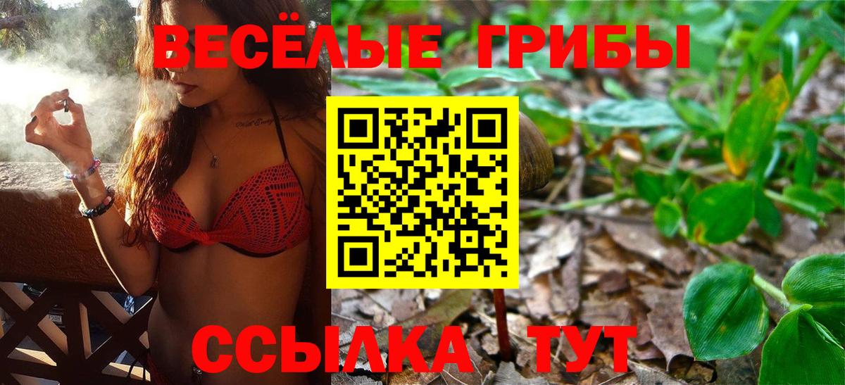 Карасук  Галлюциногенные грибы прущие грибы  Вход с VPN 